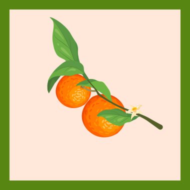 Portakal meyveli bir dal. Soyut elementler, yapraklar ve meyveler, dallar. Pastel renklerde modern sanatın posteri. Sosyal ağlar, kartpostallar, baskılar için mükemmel tasarım..