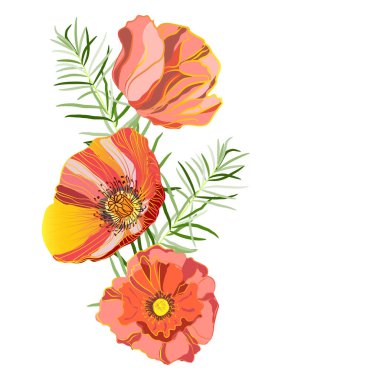 Üzerinde yazı olan bir illüstrasyon, enfes gelincikler ve kıvırcık kuşkonmaz dalları. Vektör