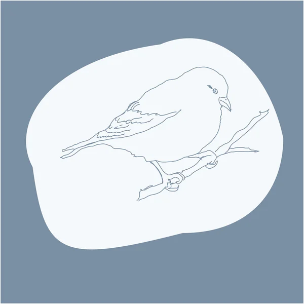 Bird scetch — Stock Vector