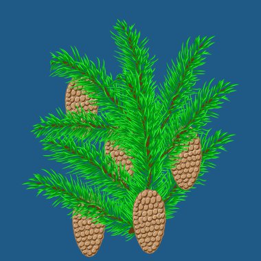 köknar-ağaç dalları ve çam kozalakları