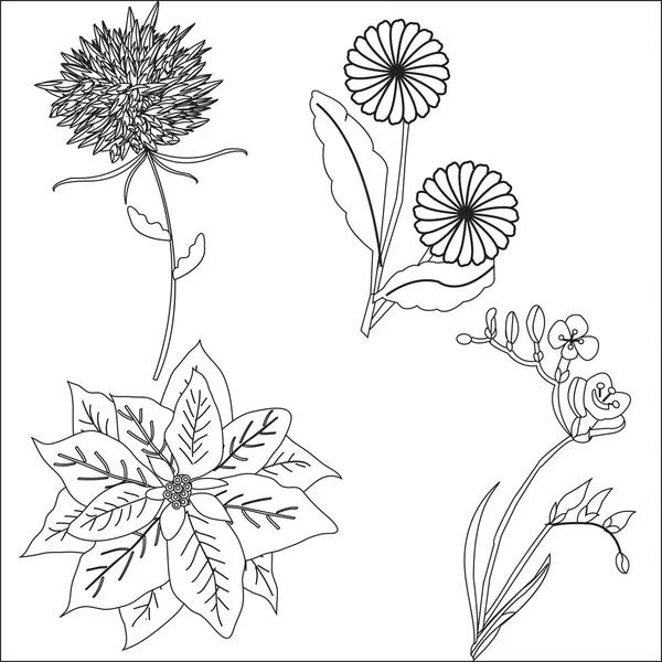 Λουλούδια σετ dudovich που απομονώνονται σε λευκό φόντο για Δέση — Διανυσματικό Αρχείο
