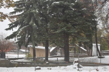 Ekim 'de Minnesota Eyalet Fuar Alanı