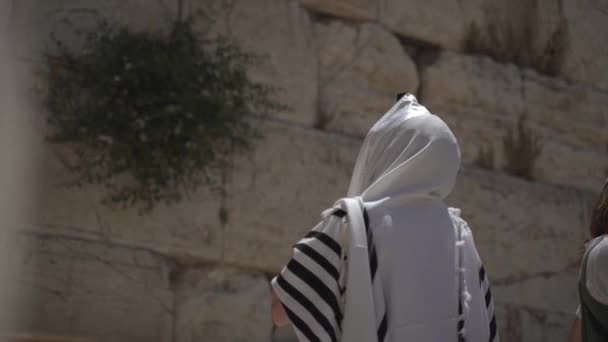 Ο Εβραίος προσεύχεται μόνος στον τοίχο, Κοτέλ. Δύναμη την πίστη και την πίστη του στο Θεό φορώντας ένα Tallit και Tefillin. Πνευματικότητα πράξη στο ιερό ιερό τόπο στην Ιερουσαλήμ Ισραήλ. — Αρχείο Βίντεο