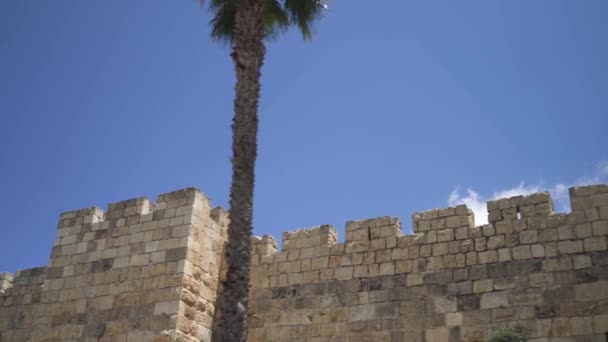 Vista exterior de la ciudad del antiguo muro de Jerusalén. Vista de la muralla de la Ciudad Vieja de Jerusalén, gran angular, panorama de Israel. Protector de pared de la ciudad Rey David en el este entrometido — Vídeos de Stock