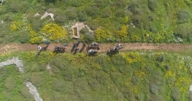 Horse riding trip for group of tourists outdoor at the nature. Aerial top down view of peaceful horse walking rider with people and trainers journey at the countryside valley.