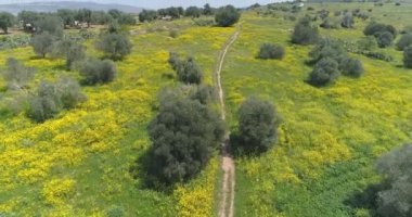 North of Israel, aerial view 4k footage. Aerial Shot Above Golan Heights at North Of Israel.
