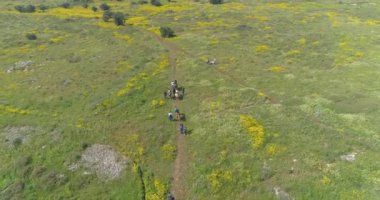 Horse riding trip for group of tourists outdoor at the nature. Aerial top down view of peaceful horse walking rider with people and trainers journey at the countryside valley.