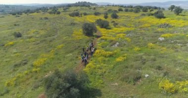 Horse riding trip for group of tourists outdoor at the nature. Aerial top down view of peaceful horse walking rider with people and trainers journey at the countryside valley.