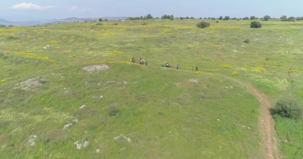 Passeio a cavalo para grupo de turistas ao ar livre na natureza. Vista aérea de cima para baixo do pacífico cavaleiro ambulante com pessoas e treinadores viagem no vale do campo. — Vídeo de Stock