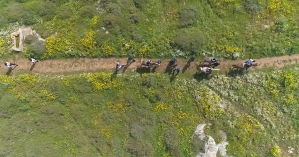 Ιππασία ταξίδι για την ομάδα των τουριστών υπαίθρια στη φύση. Εναέρια πάνω προς τα κάτω άποψη της ειρηνικής άλογο με τα πόδια αναβάτη με τους ανθρώπους και τους εκπαιδευτές ταξίδι στην κοιλάδα της υπαίθρου. — Αρχείο Βίντεο