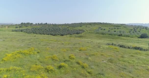 Utara Israel, pandangan udara 4k rekaman. Tembakan udara Di atas Bukit Golan di Utara Israel. — Stok Video