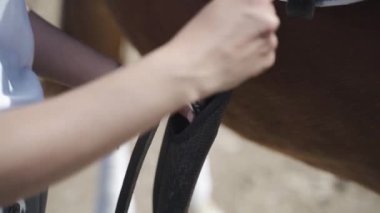 Ağır çekimde çekilen siyah kayışlı kemer, at ve insanların ellerinin tokasına asılı. Kadın eli yakın çekim, kemeri atın karnına tak, sıkıca kavra ve sık.