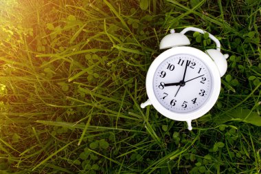 Çimlerin üzerindeki Alarm Saatinin Kapanışı. Arka planda güneş ışığı var. Zaman kavramı
