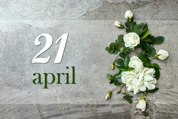 Квітня День Місяця Дата Календаря Стильні Троянди Плоскі Білі Троянди — стокове фото