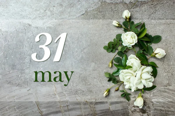Травня День Місяця Дата Календаря Стильні Троянди Плоскі Білі Троянди — стокове фото