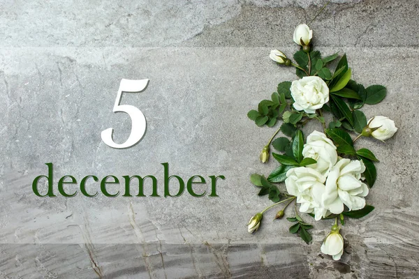 Grudnia Dzień Miesiąca Data Kalendarza Stylowe Róże Płaskie Leżały Białe — Zdjęcie stockowe