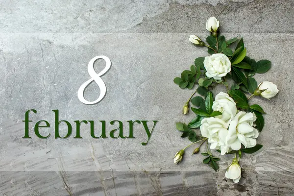 Lutego Dzień Miesiąca Data Kalendarza Stylowe Róże Płaskie Leżały Białe — Zdjęcie stockowe