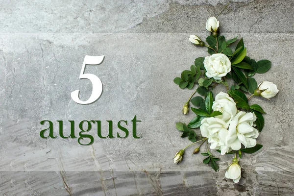5 Ağustos. Ayın 5 'i, takvim tarihi. Havalı güller düz yerde yatıyordu. Beyaz güller takvim tarihli pastel gri arka planda sınırdır. Sonbahar ayı, yılın günü konsepti Yaz