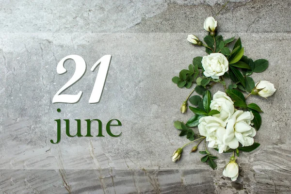 Червня День Місяця Дата Календаря Стильні Троянди Плоскі Білі Троянди — стокове фото