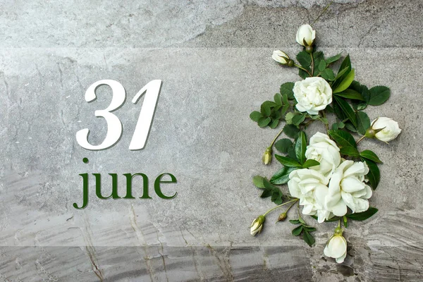 Червня День Місяця Дата Календаря Стильні Троянди Плоскі Білі Троянди — стокове фото