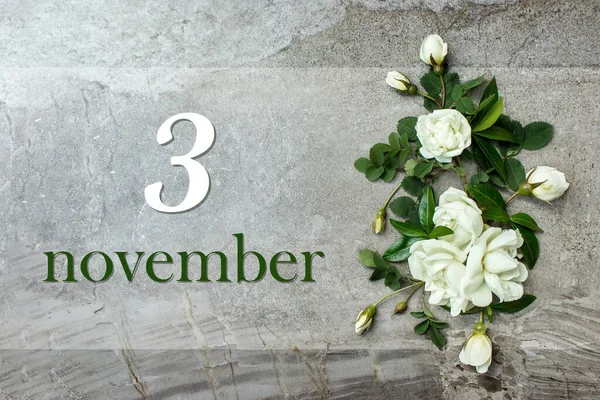 November 3Rd Day Month Calendar Date Stylish Roses Flat Lay — Foto de Stock