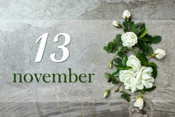 November 13Rd Day Month Calendar Date Stylish Roses Flat Lay — Zdjęcie stockowe