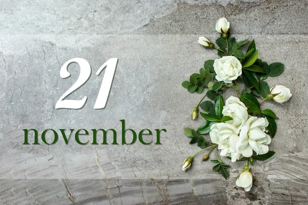 November 21St Day Month Calendar Date Stylish Roses Flat Lay — Φωτογραφία Αρχείου
