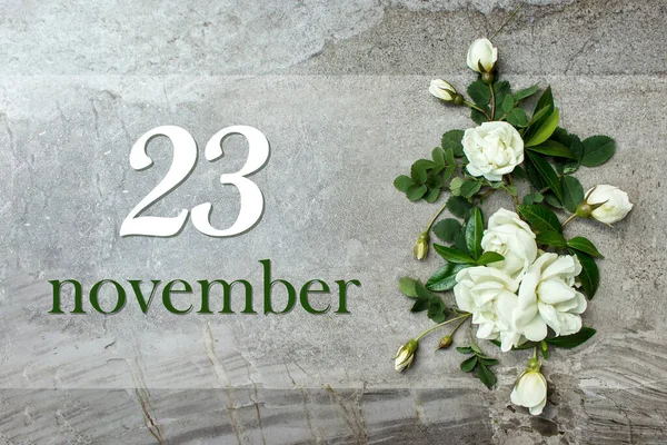 November 23Rd Day Month Calendar Date Stylish Roses Flat Lay —  Fotos de Stock