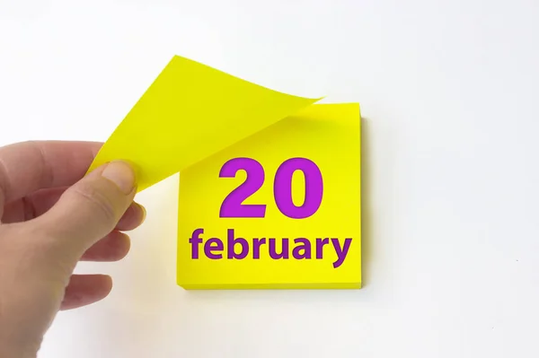 February 20Th Day Month Calendar Date Hand Rips Yellow Sheet —  Fotos de Stock