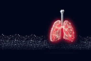 Lacivert arka planda dijital çizgisi olan kırmızı, düşük polimer insan ciğerleri. Soyut anatomi organı.