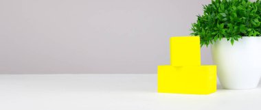 Masanın üzerinde sarı ve çiçek küpleri var. Gri arka planda beyaz tencerede yeşil bitki