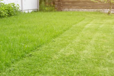 Fresh Mown Lawn Cutting Grass. Gardening background. Gardening and landscaping concept.