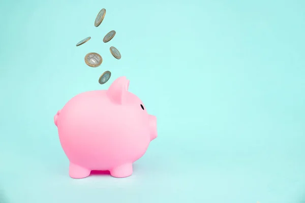 Money Saving Future Investment Retirement Concept Concept Theme Pink Piggy — Foto Stock