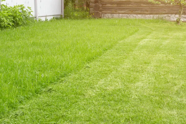 Fresh Mown Lawn Cutting Grass Gardening Background Gardening Landscaping Concept — Stock Photo, Image