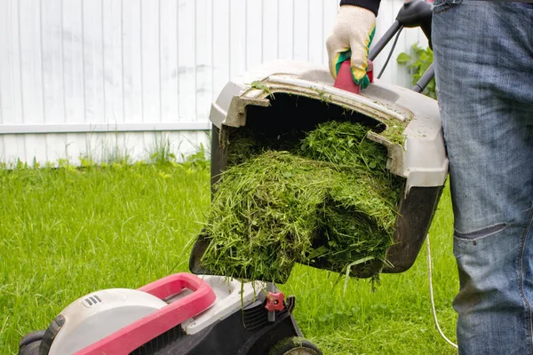 Man Lawn Mower Grass Collector Hand Man Lawnmower Gardening Landscaping — Foto Stock