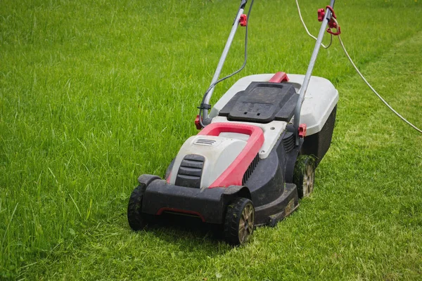 Electric Lawn Mower Front Yard Lawn Mower Garden — Foto Stock