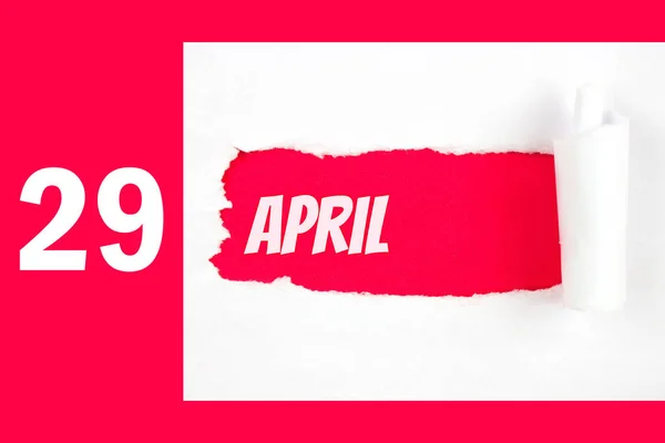 4月29日 月の29日 カレンダーの日付 カレンダー日付と側面を引き裂かれた白い紙の赤い穴 春の月 その年のコンセプトの日 — ストック写真