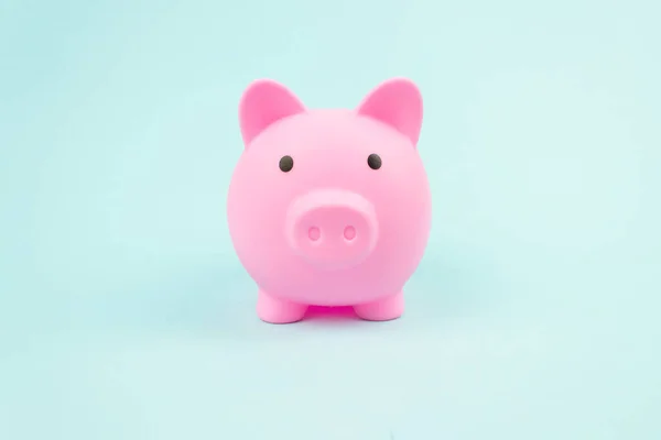 Różowa Świnka Niebieskim Tle Oszczędność Pieniędzy Planowanie Finansowe Finansów Osobistych — Zdjęcie stockowe