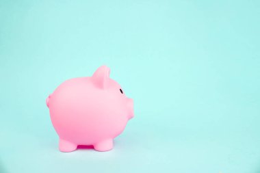 Pink piggy bank on blue background. Saving money wealth and financial concept. Sale, buy, consumer saving, budget concept