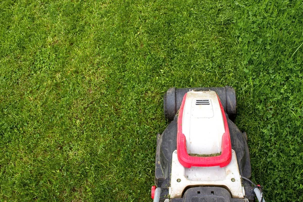 现代花园绿草上的草坪的一部分 花园和后院景观割草机 花园电动工具设备 图库照片