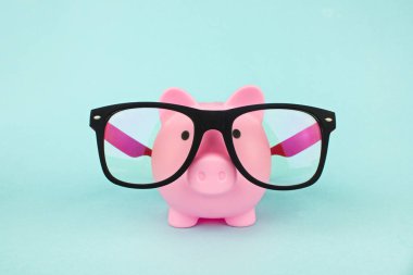 Gözlük takan pembe bir kumbara. Ekonomi konsepti kaydediliyor