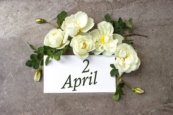 April 2Nd Day Month Calendar Date White Roses Border Pastel — Stock Photo, Image