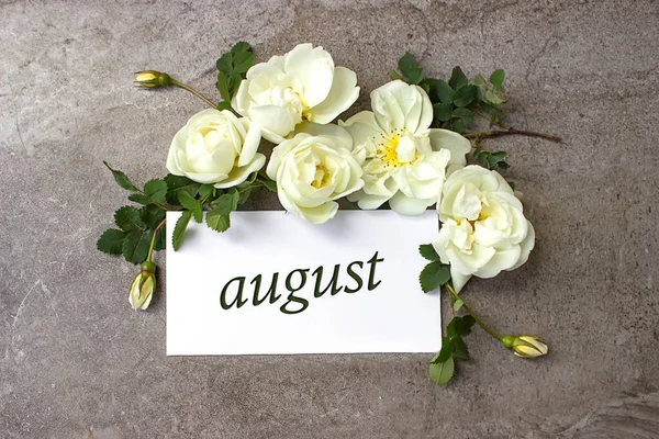 August Month Calendar Month White Roses Border Pastel Grey Background — Stock Photo, Image