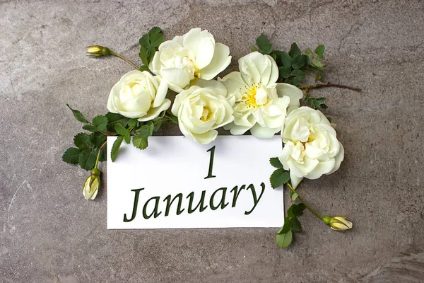 Enero Día Del Mes Fecha Del Calendario Rosas Blancas Bordean —  Fotos de Stock