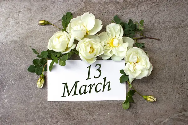 Marca Dzień Miesiąca Data Kalendarza Białe Róże Graniczą Pastelowym Szarym — Zdjęcie stockowe