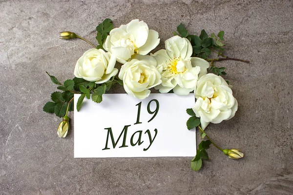 Mayo Día Del Mes Fecha Del Calendario Rosas Blancas Bordean —  Fotos de Stock