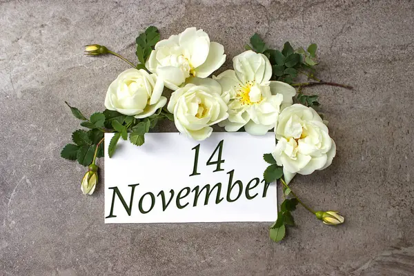 Noviembre Día Del Mes Fecha Del Calendario Rosas Blancas Bordean —  Fotos de Stock