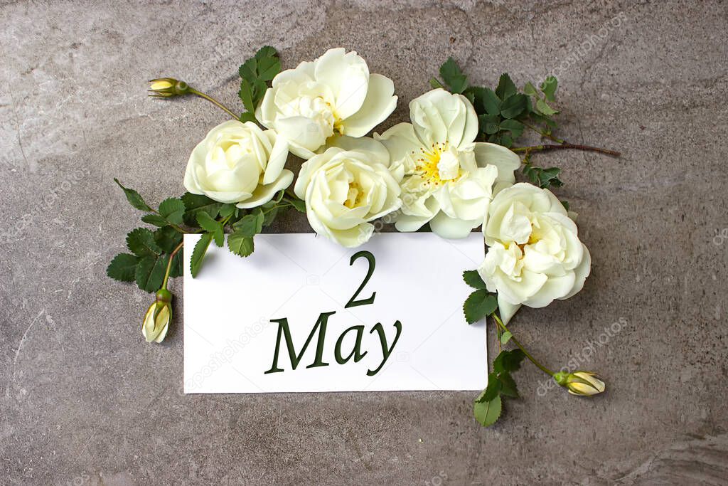 May 2nd. Day 2 of month, Calendar date. White roses border on pastel grey background with calendar date. Spring month, day of the year concept