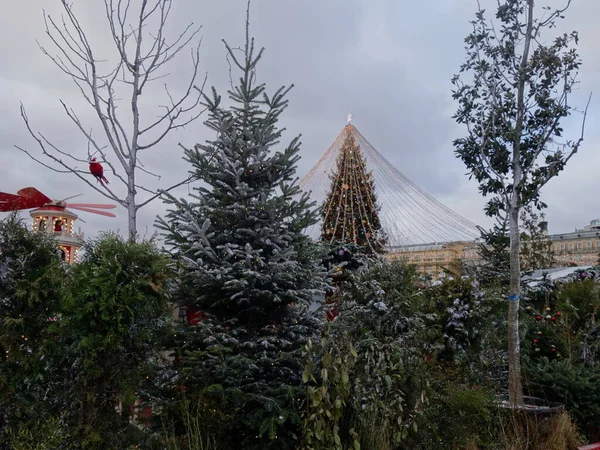 Decor Crăciun Fundal Din Lemn — Fotografie, imagine de stoc