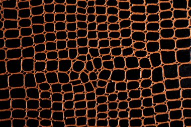 arkaplan dokusu taklit yılan derisi